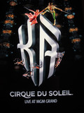 Cirque du Soleil - KA