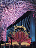 flamingo-showroom---flamingo-hotel