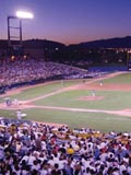cashman-field