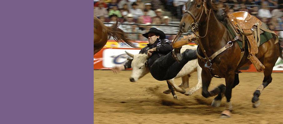 Thomas And Mack Center Rodeo Seating Chart