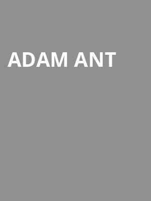 Adam Ant, Event Lawn At Virgin Hotels Las Vegas, Las Vegas