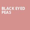 Black Eyed Peas, Venetian Theatre, Las Vegas