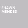 Shawn Mendes, T Mobile Arena, Las Vegas