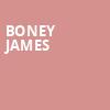 Boney James, Smith Center, Las Vegas