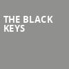 The Black Keys, MGM Grand Garden Arena, Las Vegas