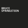 Bruce Springsteen, T Mobile Arena, Las Vegas
